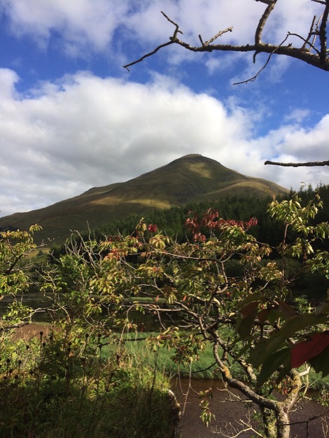 Portnellan view